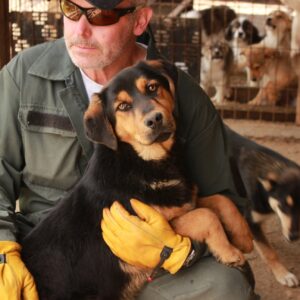 MASOLO - reserviert MG vermittelt