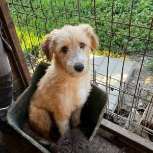 MALIN - ausgereist zum TH Limburg