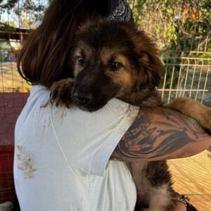 ROULA - sehr überfordert - vermittelt LS