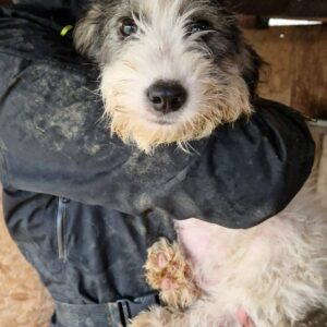 OTTI - reserviert JW - vermittelt