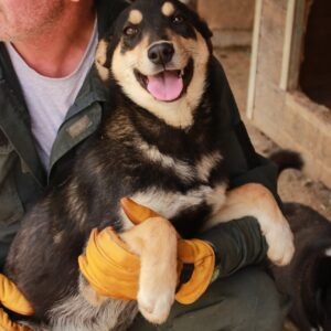 IRMA - reserviert TH Tuttlingen vermittelt