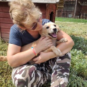 DOREL - reserviert KM vermittelt