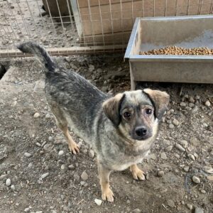 STEPPKE - vermisst 04/2023