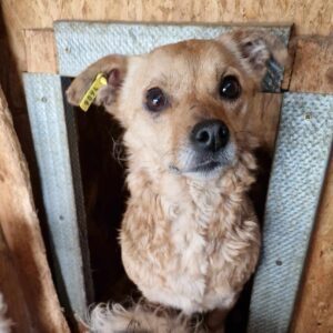 SALLI - reserviert KM - vermittelt