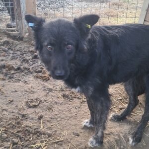 KEIRA - vermisst 04/24