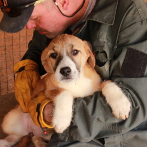 SUNIE - reserviert JW vermittelt