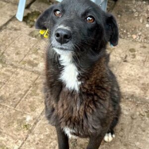 VÄNINNA - vermittelt LS