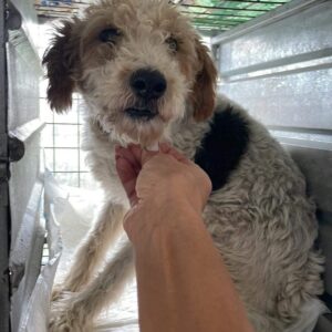 SUZY - reserviert KM vermittelt