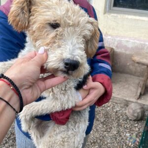 MEDY - reserviert KM vermittelt