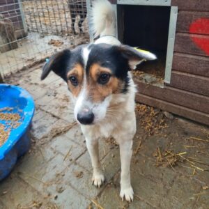 KAFKA - reserviert TH Iserlohn - vermittelt