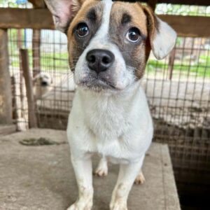 FREDERIKE - vermittelt MD