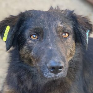 OVE - vermisst 04/24