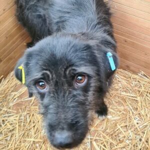 XANNY - reserviert NadineH - vermittelt