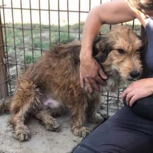 FERY - Notfall: Mobbingopfer - vermittelt Alexandra