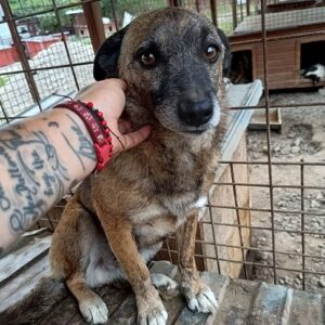 RUFOS - ausgereist zum TH Iserlohn