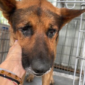 DUCE reserviert Manuela (24/09) vermittelt