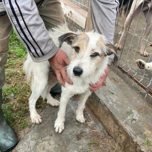 MARIPOSA - reserviert NadineH vermittelt