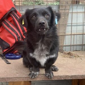 TABALUGA - reserviert TST Rösrath - vermittelt