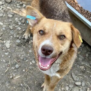 BHILAI - ausgereist zum TST Rösrath