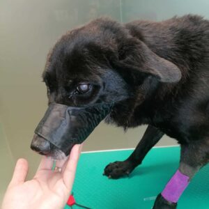 THEOBALD - RBB 12/22