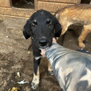 VERO - auf PDR PS im PLZ Bezirk 19 - vermittelt