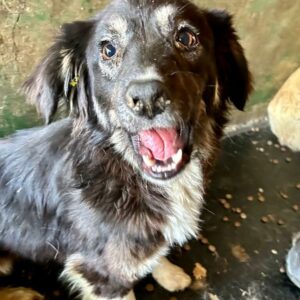 MAURA - vermittelt LS