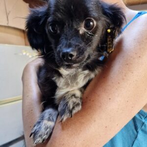 NUKA - auf PDR PS im PLZ Bezirk 64 - vermittelt