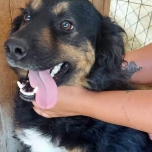 CHERRY - nicht länger unter der Obhut von Mihaela/PDR