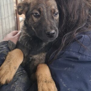 TUFFI - reserviert TH Tuttlingen - vermittelt