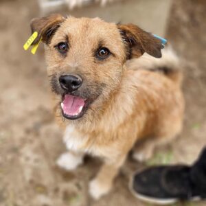 MOO - reserviert IH DR 13.10. - vermittelt