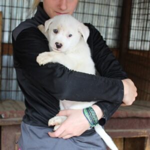 JACKOMO - vor Ort vermittelt