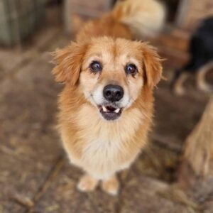 WALTER - reserviert TH Filderstadt vermittelt