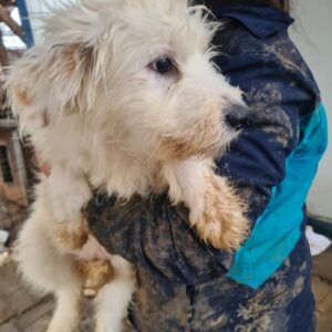 YATA - reserviert Betty - vermittelt