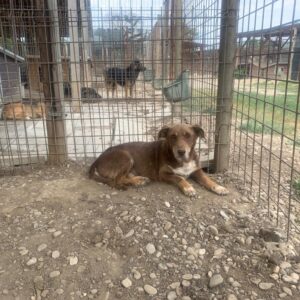 MALCOLM - vermisst 04/2023