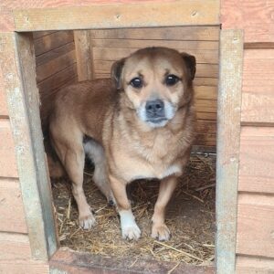 AJLA - vermisst 12/24