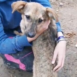 JACKPOT - auf PDR PS im PLZ Bezirk 26 - vermittelt