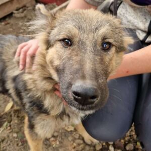 ELMO - reserviert LS vermittelt