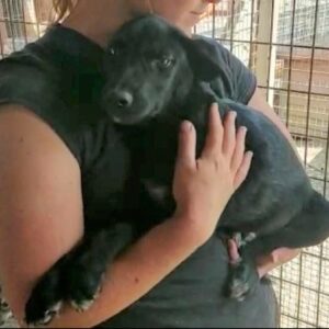 SAYO - reserviert JW vermittelt