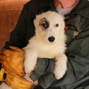 SIHU - reserviert TH Filderstadt vermittelt