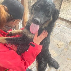 DIAMANT - med. Notfall - auf PDR PS im PLZ Bezirk 4 - vermittelt