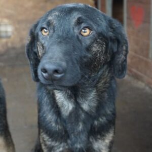 LANIA - auf PDR PS im PLZ Bezirk 95 - vermittelt