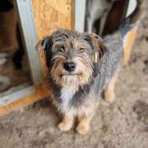 ERROL - reserviert LS vermittelt