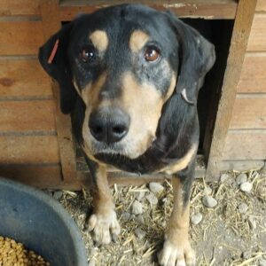 REXO - ausgereist zum KTH e.V.