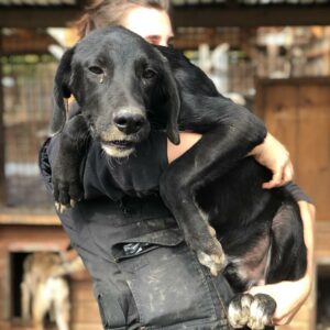 BENNY - RBB 27.11.2022