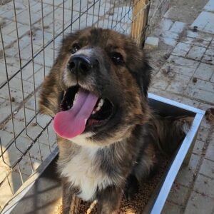 NERINO - Notfall - reserviert VPS vermittelt