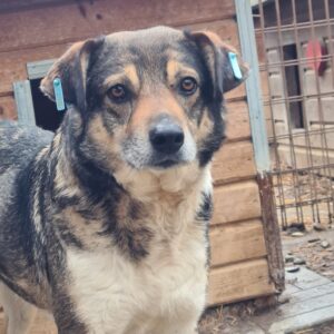 TUVOK - vermisst 04/25