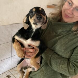 MIRACOLI - auf Pflegestelle in PLZ 2 *vermittelt*