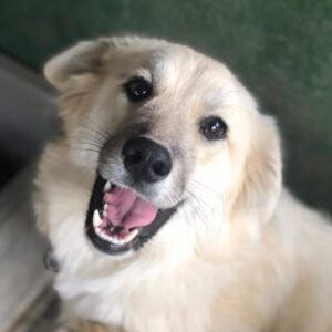 NIKITA - reserviert TH Tuttlingen vermittelt