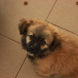 VARI - reserviert KM vermittelt