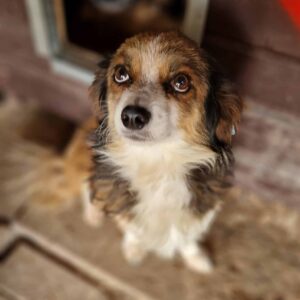 MOBLE - reserviert TH Koblenz vermittelt